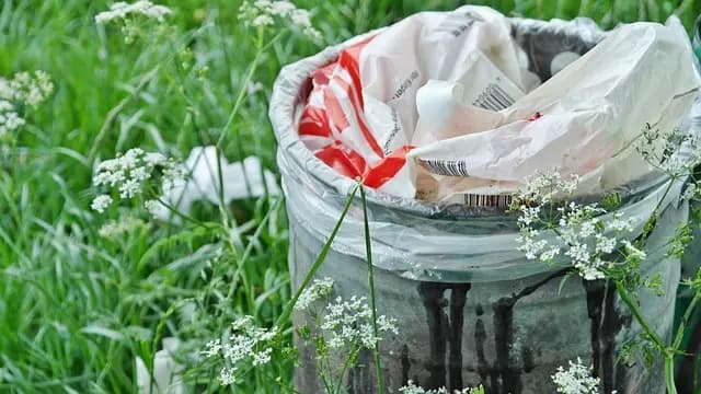 Guide pratique pour bien choisir votre déchetterie locale