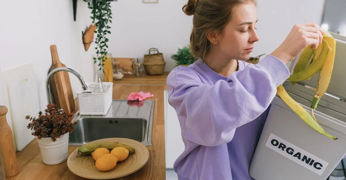Transformer ses déchets alimentaires en engrais naturel