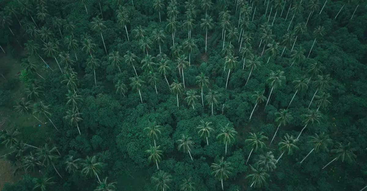 Les effets du recyclage sur la biodiversité