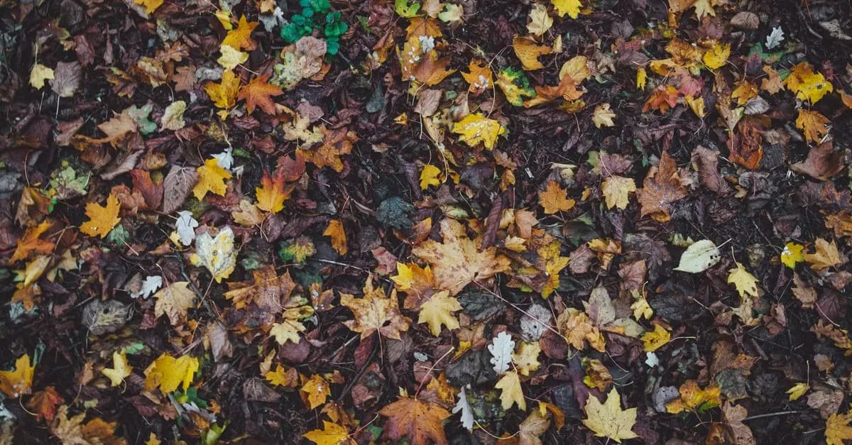 Comment construire un bac à compost maison