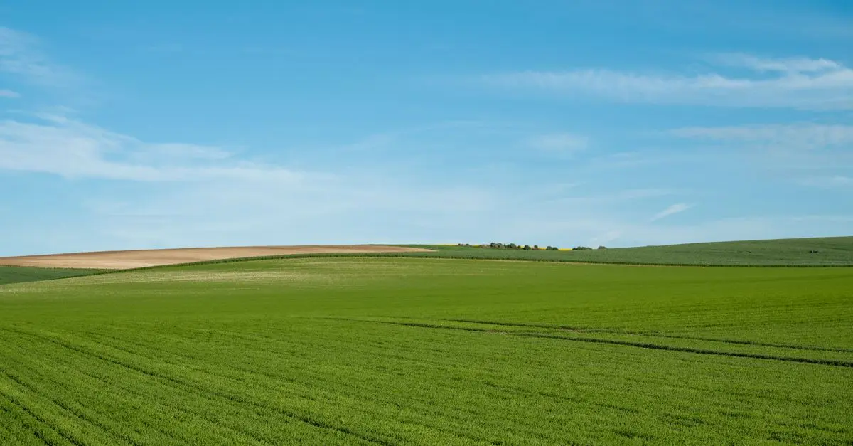 Comment instaurer le zéro déchet à la maison