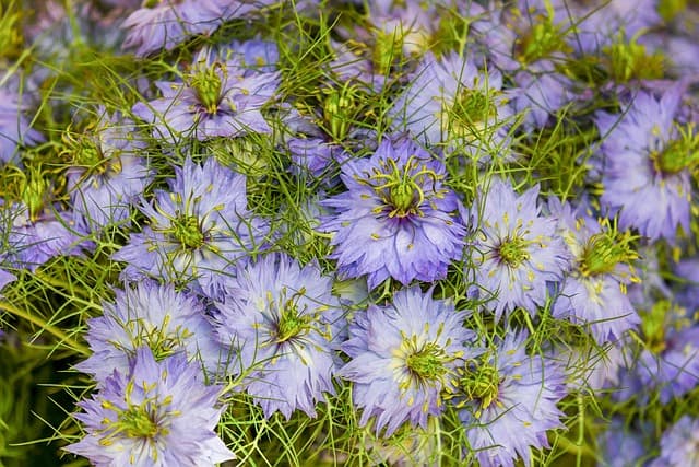 Comment créer un composteur dans votre jardin facilement